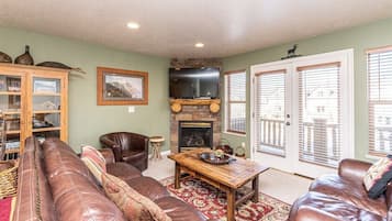 TV, fireplace, DVD player, books