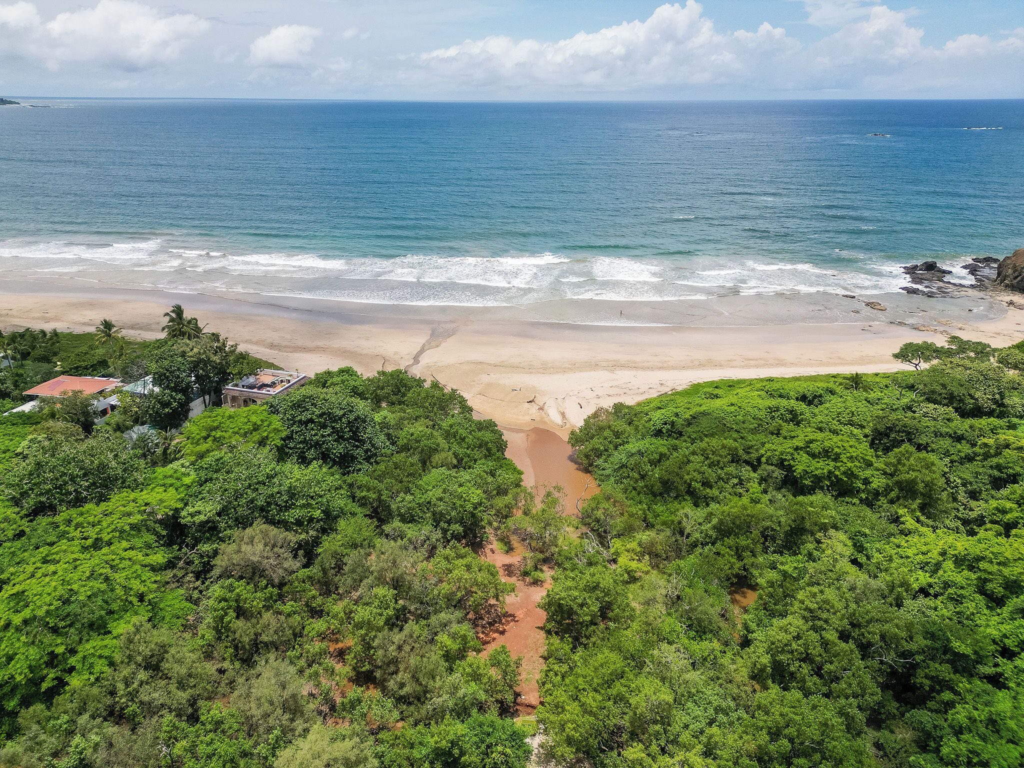 A beach with a clear view of the ocean, surrounded by dense green foliage.
