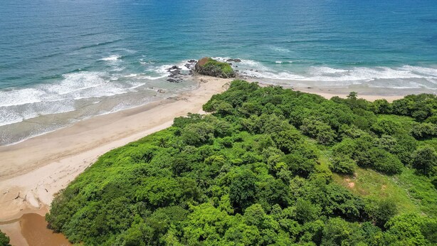 Une plage avec un promontoire rocheux et une végétation verdoyante et luxuriante au premier plan.