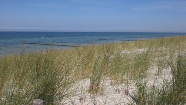 Uma praia com areia e grama alta ao primeiro plano, que se estende até o oceano.