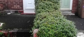 Cheerful Home with Free Parking on the Road