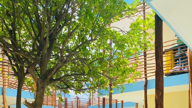 A courtyard with a central pathway, surrounded by trees and greenery, leading to a building with a blue and beige facade. - Luna Azul by Uvas (Cozumel)