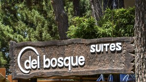 Cartell de 'Del Bosque Suites' amb disseny de fusta rústica, envoltat de vegetació i arbres.