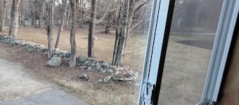 Cozy Cabin w/ Cathedral Cabin on 7-Acres with Pond
