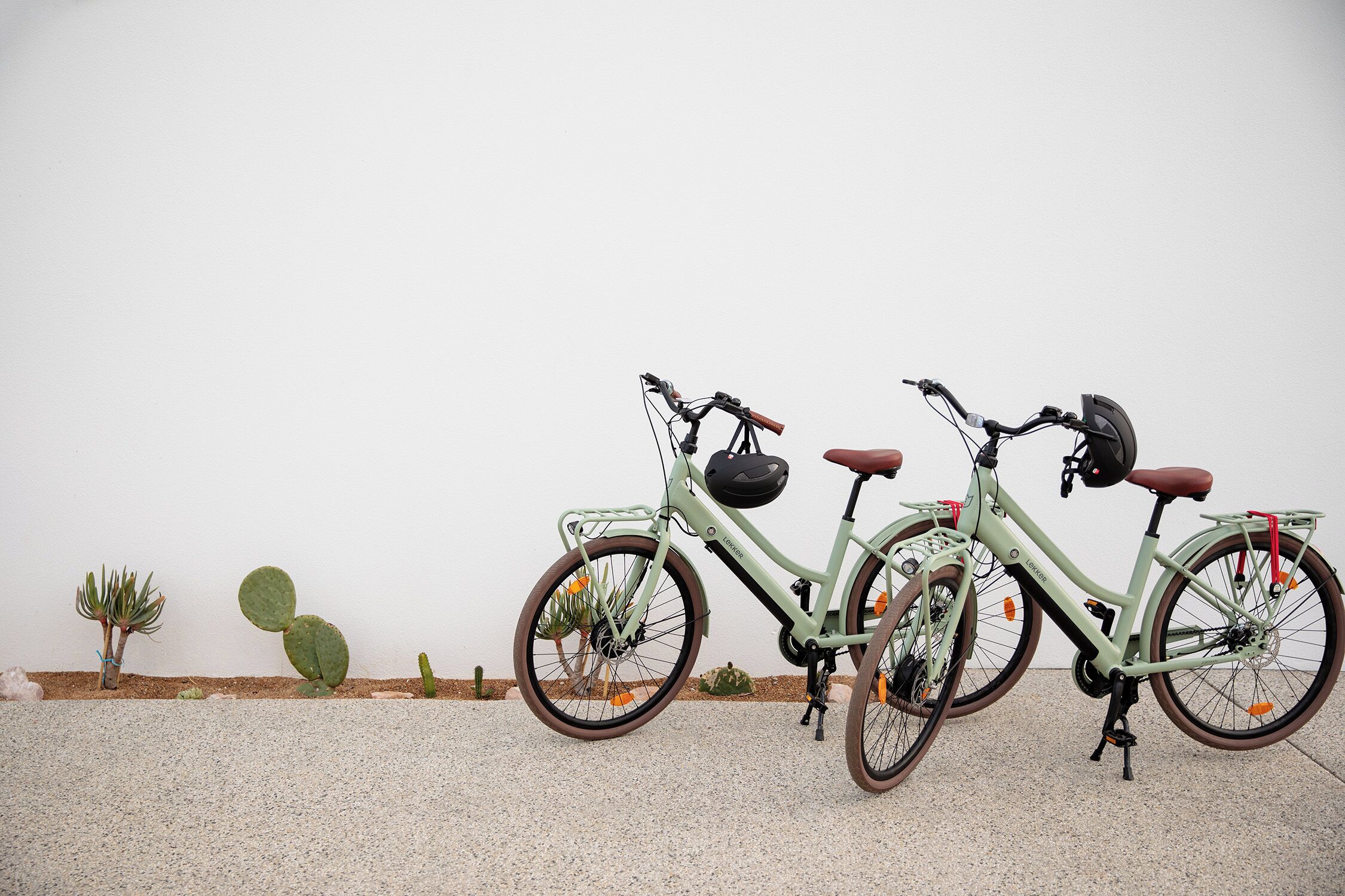 A stationary bicycle with a basket and a helmet, parked against a wall with cacti.
