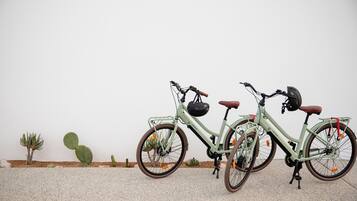 A stationary bicycle with a basket and a helmet, parked against a wall with cacti.
