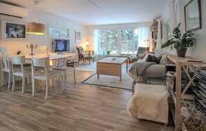 Fernseher, Kamin, DVD-Player