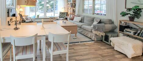 Fireplace, DVD player