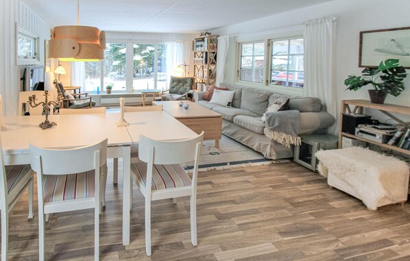 مدفأة، مشغل دي في دي