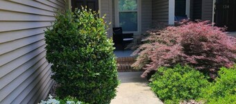 UnForegettable Southern Pines