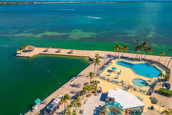 屋外プール、温水プール