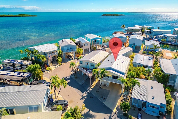 Spanish Queen @Venture Out