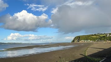 Beach/ocean view