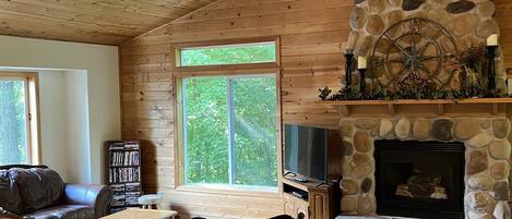 Smart TV, fireplace, DVD player, books