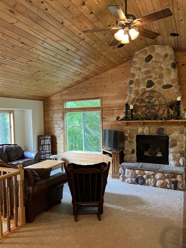 Smart TV, fireplace, DVD player, books