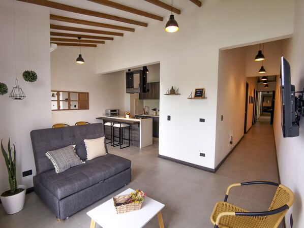 Apartment 303 | Oppholdsområde | En 47-tommers smart-TV med Parabol-TV samt TV og Netflix