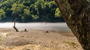 Een natuurlijk landschap met een beboste heuvel, een waterlichaam en een rotsachtige kust.