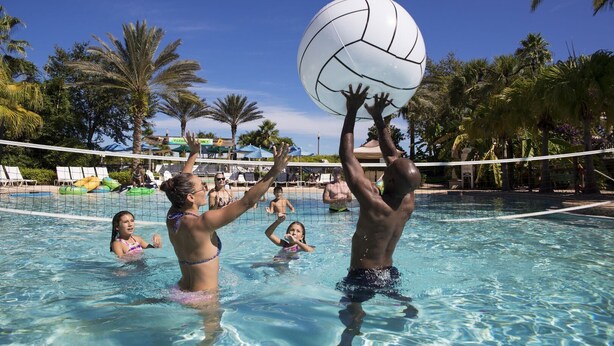 Zona de piscina con red de voleibol, palmeras y sillas de descanso.