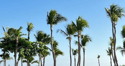 Villa Daniela Luxury Beach Club & Golf - Cap Cana