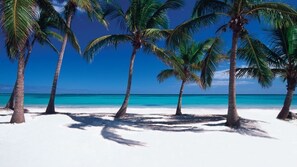 Ein Strand mit Palmen und blauem Himmel.