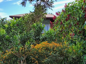 Exterior detail - Eco resort: Panama's largest butterfly exhibit, native bee and honey farm (Boquete)