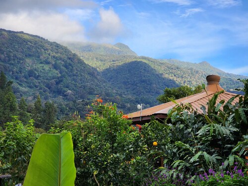 Eco resort: Panama's largest butterfly exhibit, native bee and honey farm