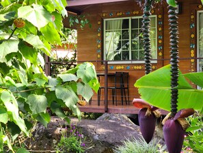 Outdoor dining - Eco resort: Panama's largest butterfly exhibit, native bee and honey farm (Boquete)