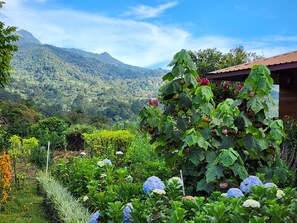 A garden with hydrangea flowers, a wooden structure, and a mountainous landscape in the background.
