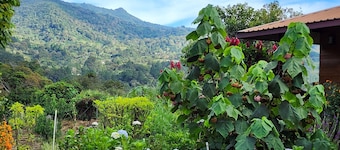 Eco resort: Panama's largest butterfly exhibit, native bee and honey farm