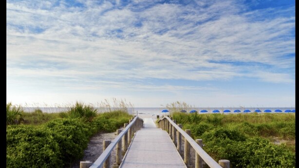 A wooden boardwalk leading to beach umbrellas. - Ocean View! Remodeled! Just Steps to the Beach, large pool and Bar. Gated resort (Hilton Head Island)