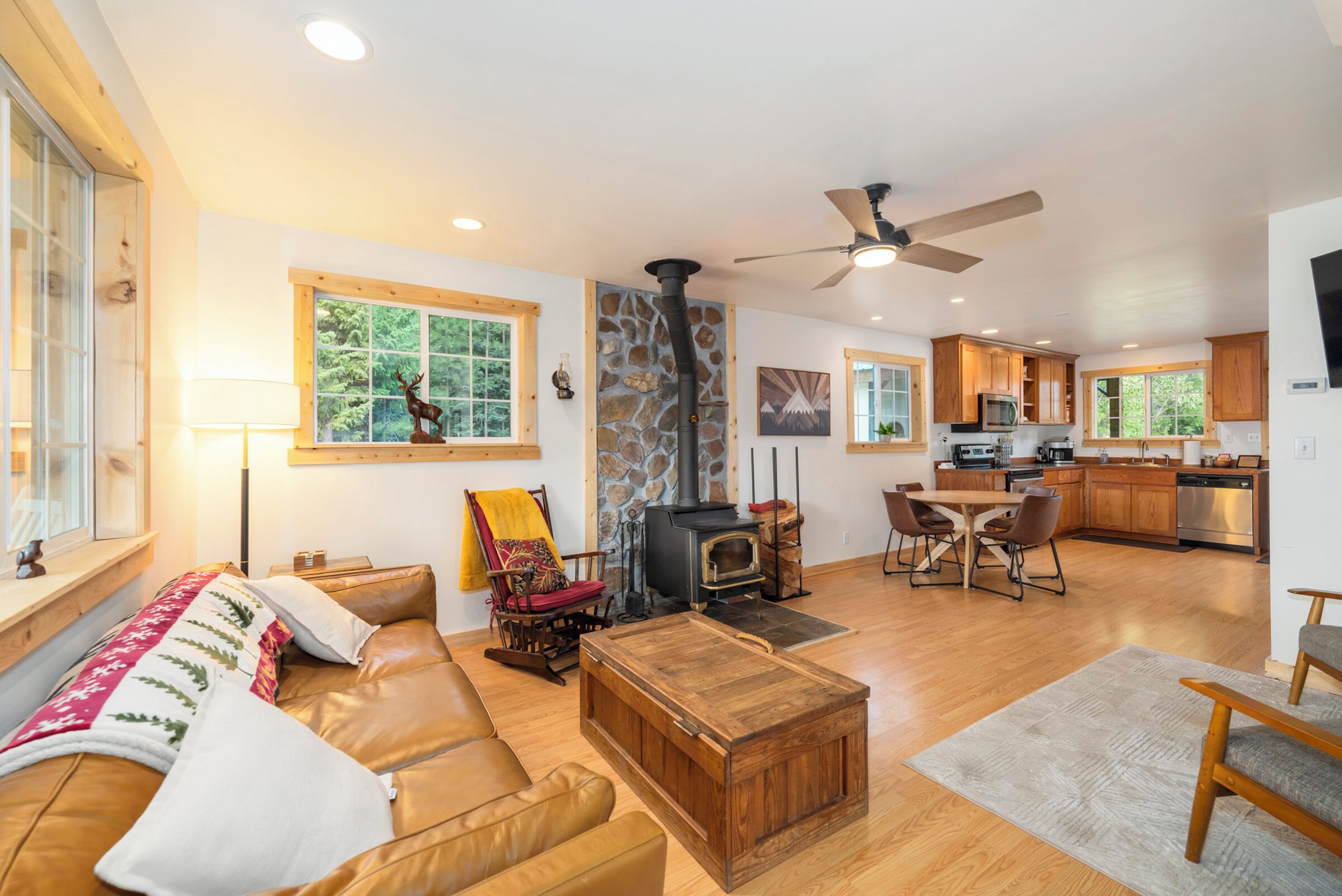 TV connectée, cheminée, lecteur de DVD, livres