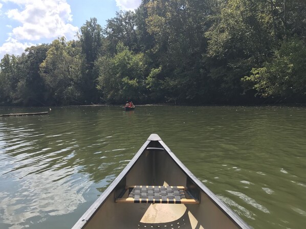 A canoe on a river with dense forest on the opposite bank.