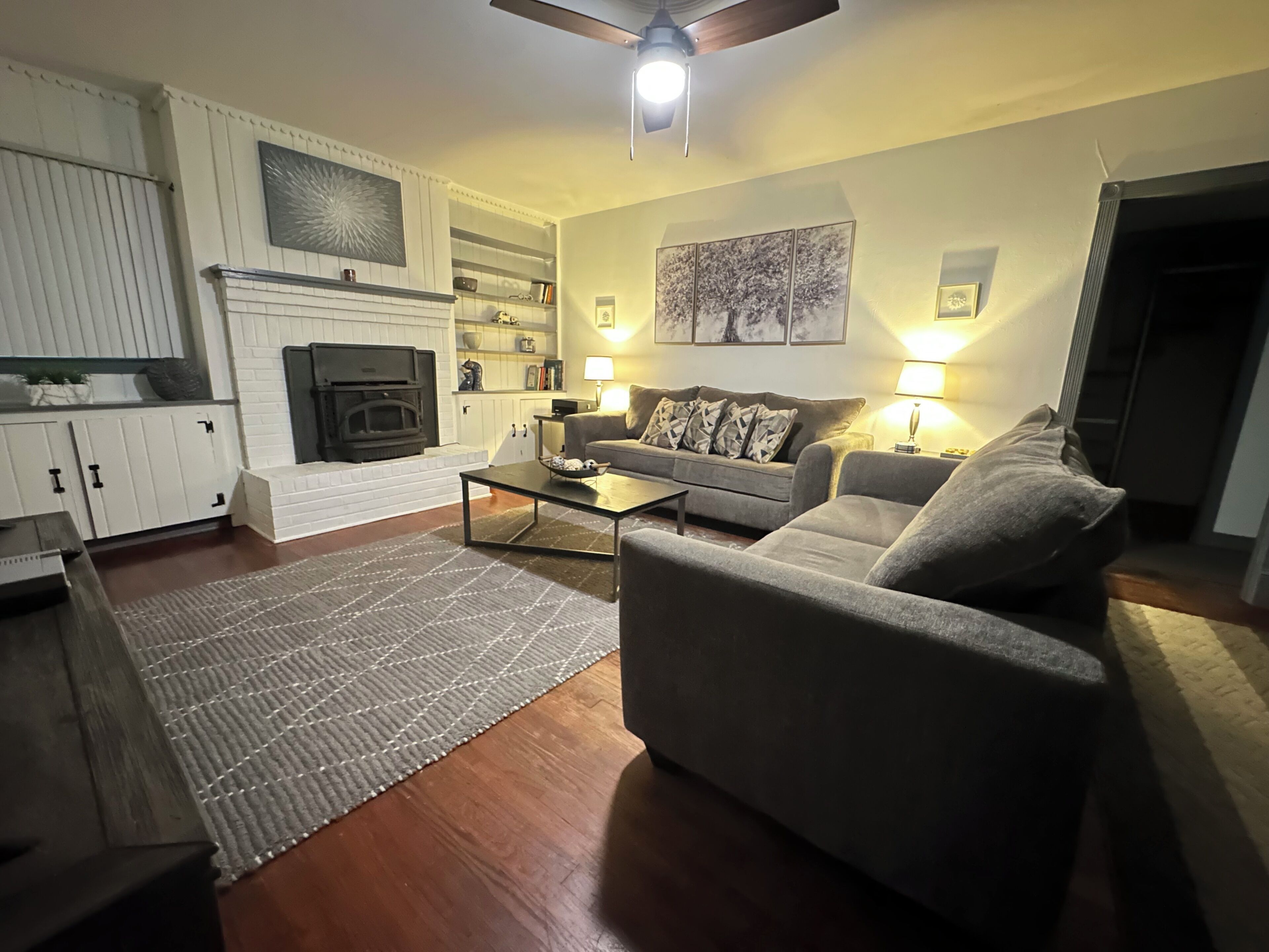 Smart TV, fireplace, video games, books