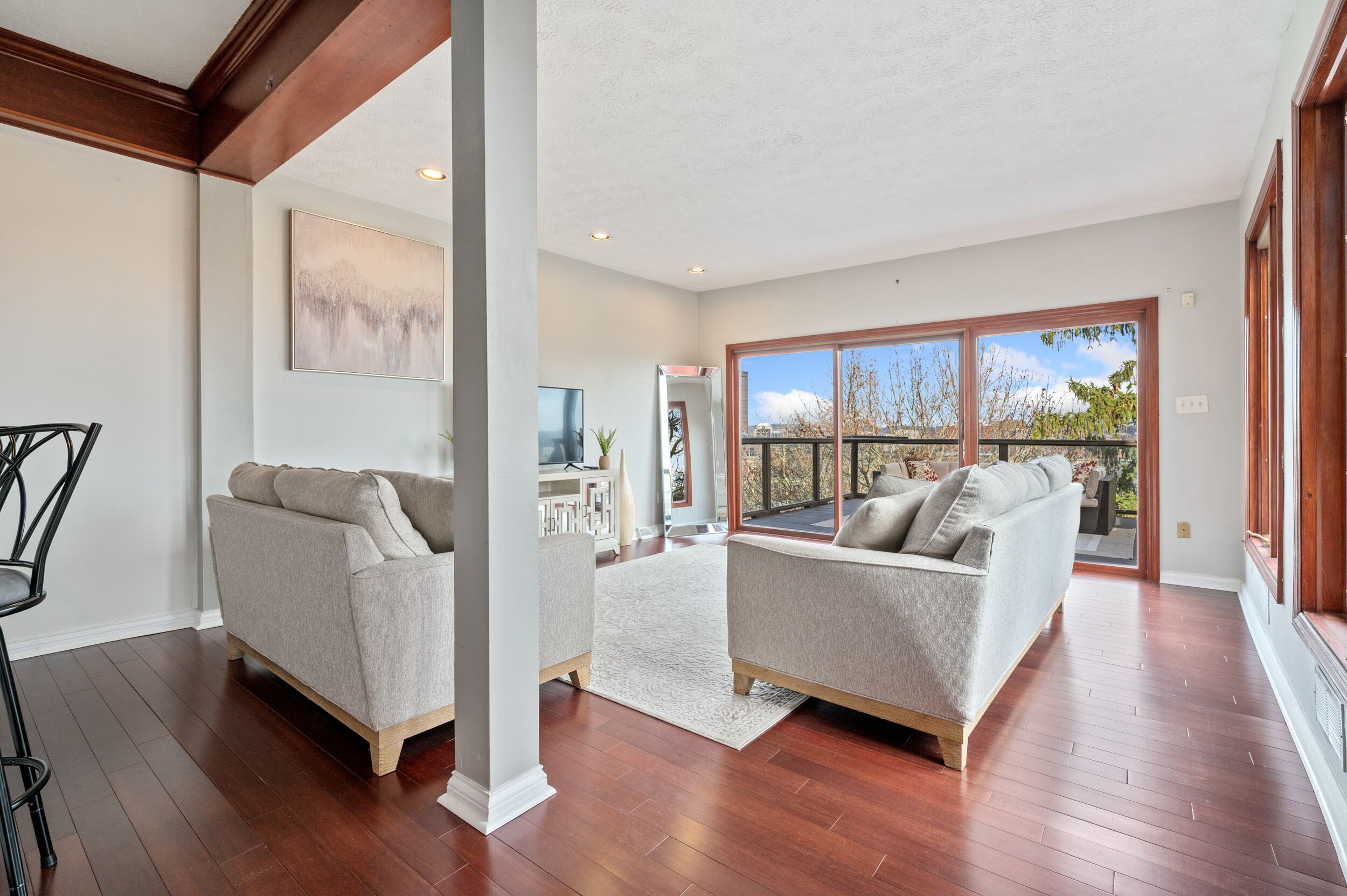 Smart TV y impresora 