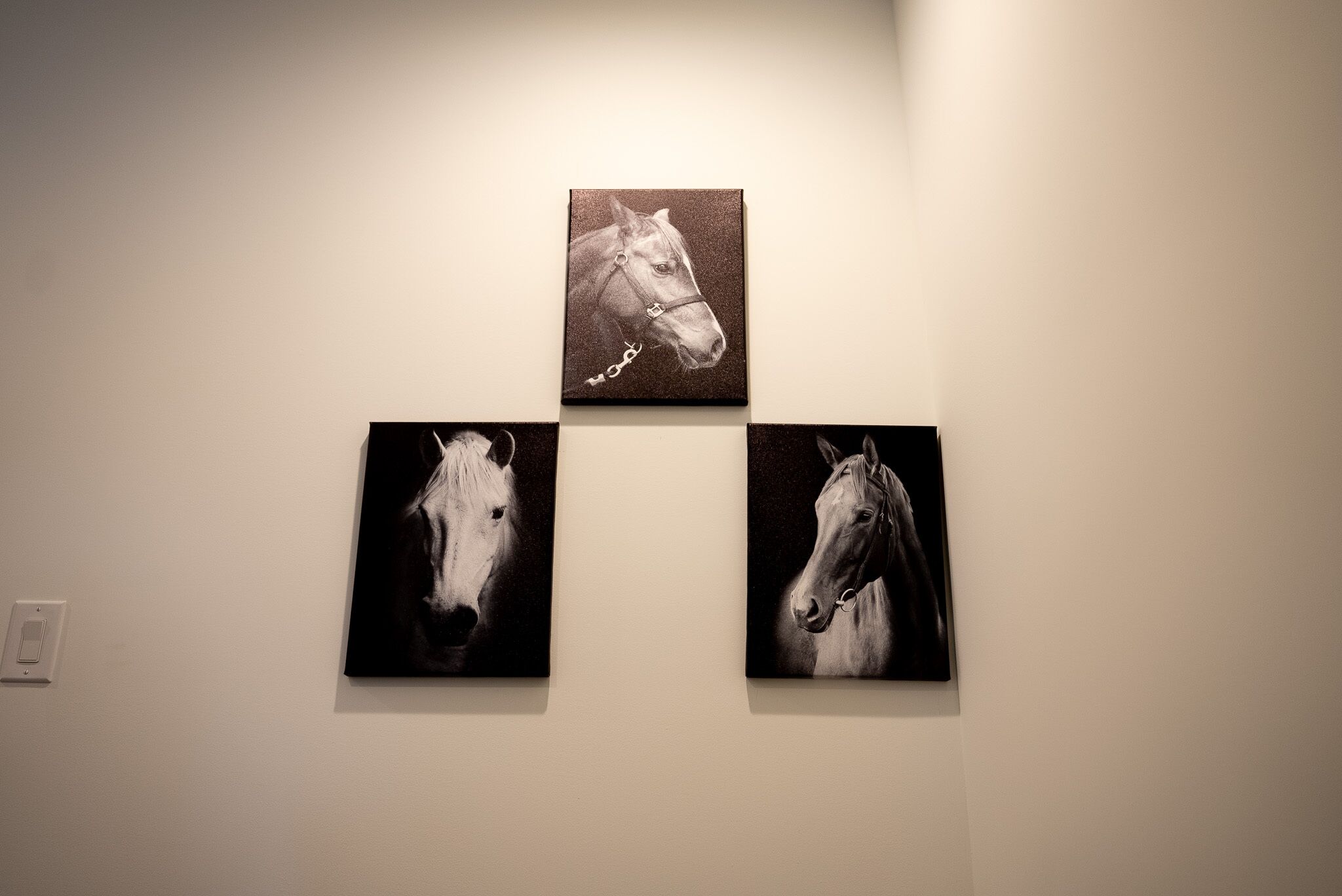 Three black and white horse paintings on a wall.