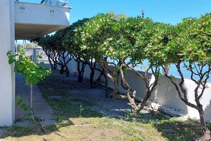 Overnatningsstedets område