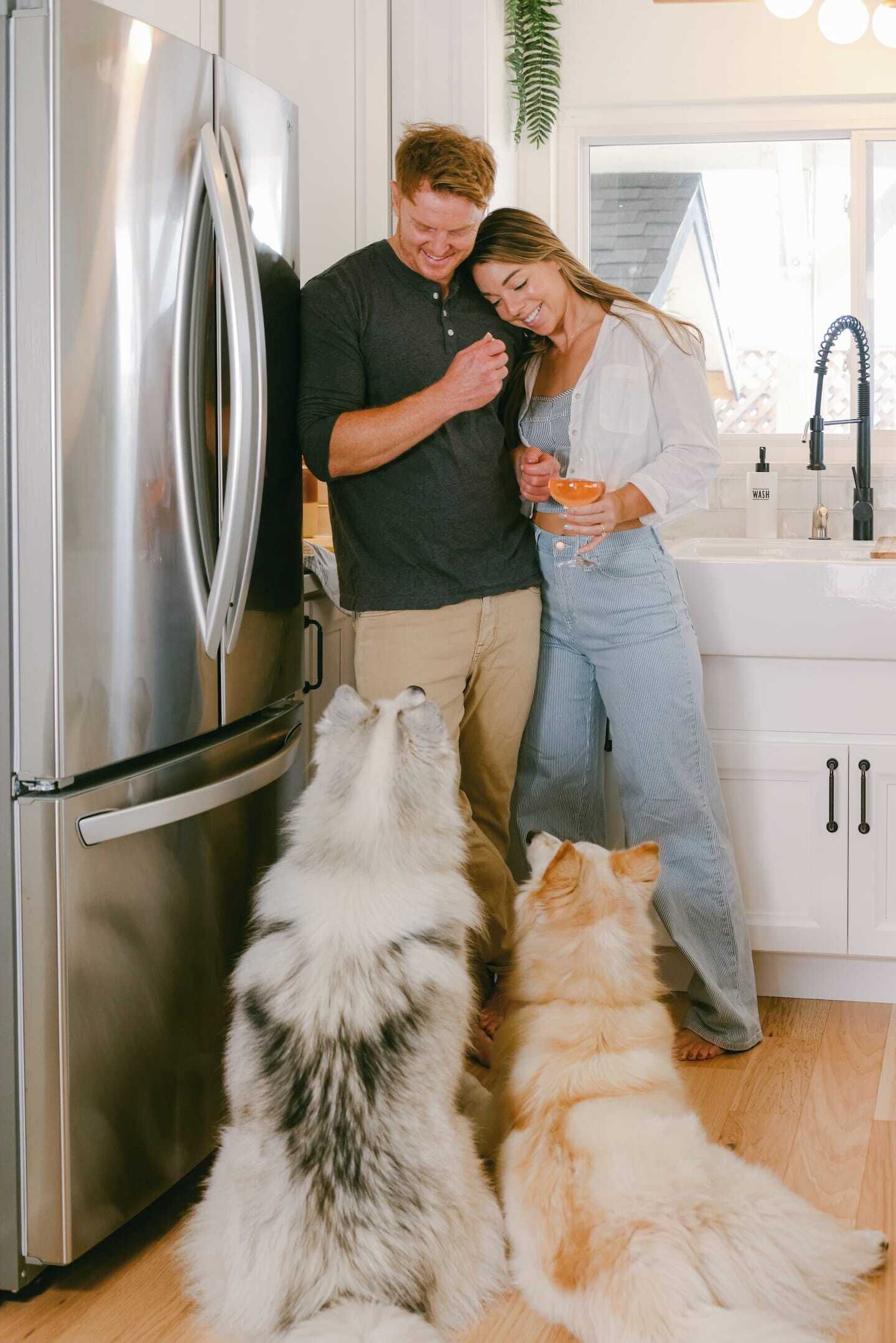A modern kitchen with stainless steel appliances, a white sink, and a large fluffy dog.