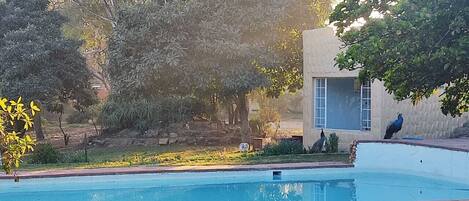 Alberca al aire libre