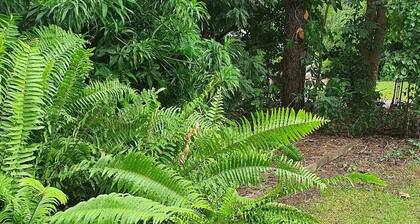 Adorable 2 bedroom unit, set in lush gardens