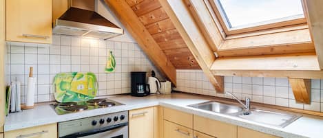 Fridge, oven, stovetop, dishwasher