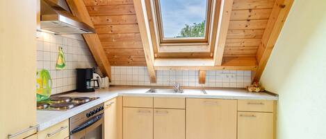 Fridge, oven, stovetop, dishwasher