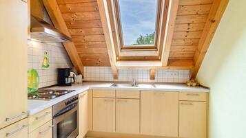 Fridge, oven, stovetop, dishwasher