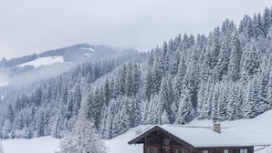 A wooden cabin with a sloped roof, surrounded by snow-covered trees and hills. - Krafttal Kelchsau – Where Nature Gives You Strength and Every Moment Feels Like Home (Kelchsau)