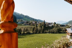 A rural landscape with houses, a green field, and a mountain in the background.