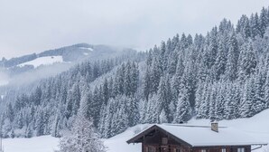 A wooden cabin with a sloped roof, surrounded by snow-covered trees and hills.