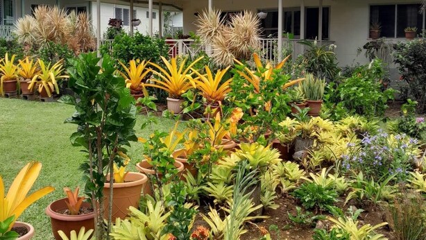 Una casa con porche cubierto y un jardín con diversas plantas y flores.