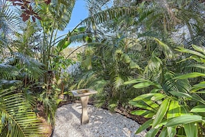 Un espace jardin aménagé avec une variété de plantes tropicales et un abreuvoir pour oiseaux.