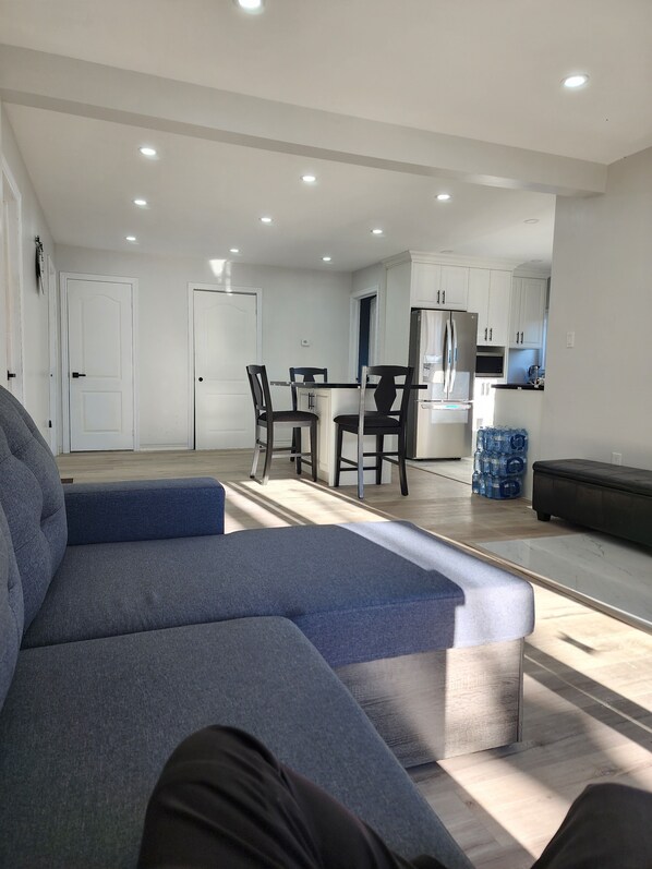 TV connectée, cheminée, chaîne hi-fi