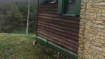 Détail de l’extérieur