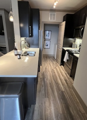 Private kitchen - Luxury downtown/midtown 1 bedroom (Houston)